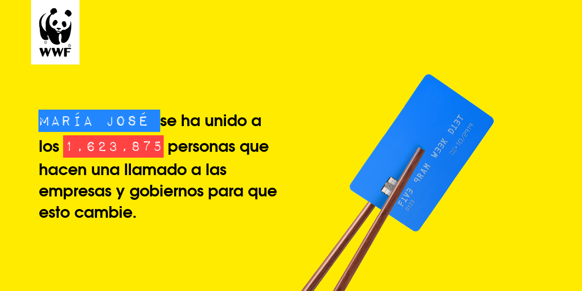 Plastic diet result for María José 