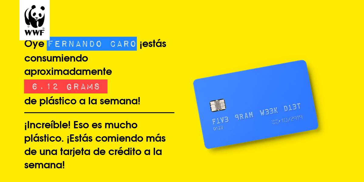 Plastic diet result for Fernando caro