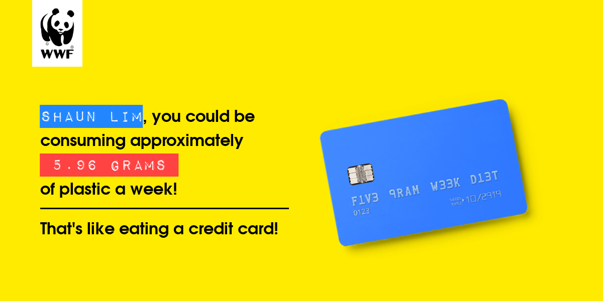 Plastic diet result for Shaun lim