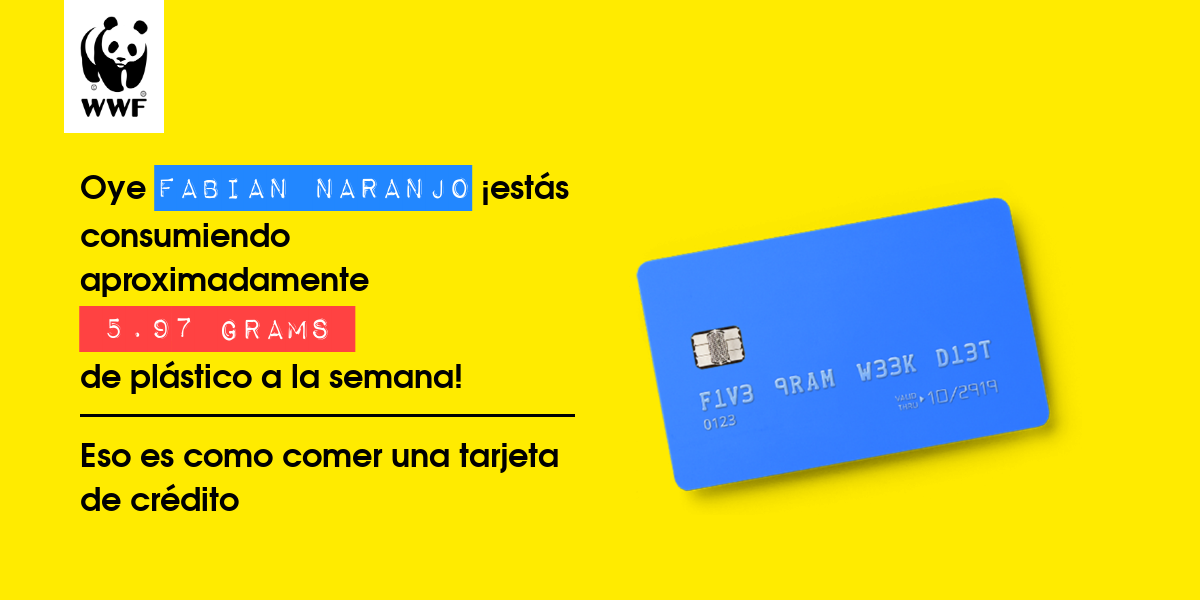 Plastic diet result for Fabian NAranjo