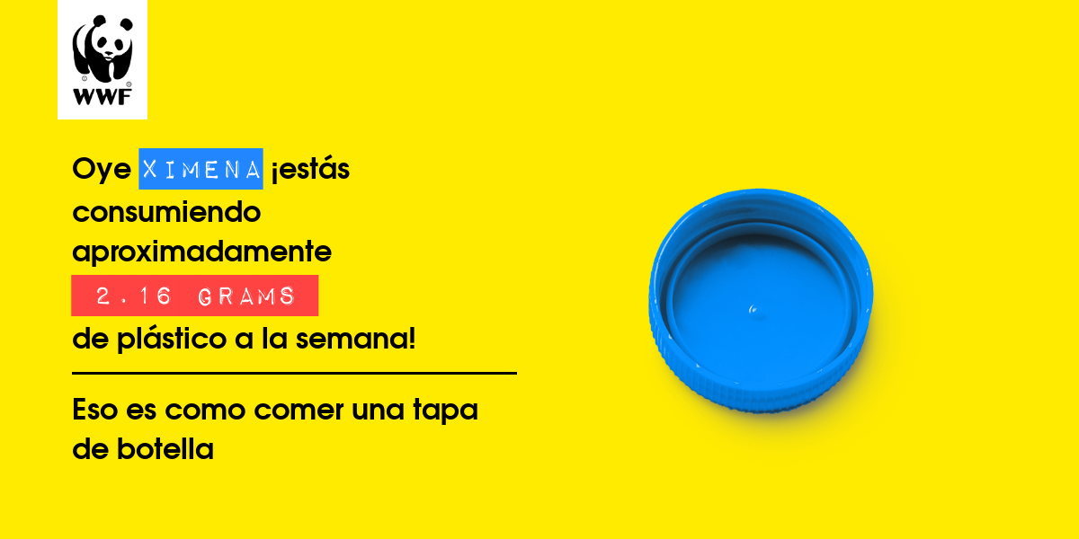 Plastic diet result for Ximena